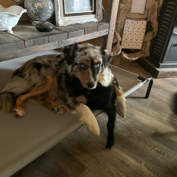 Crys Rice - Picture 3 of 6